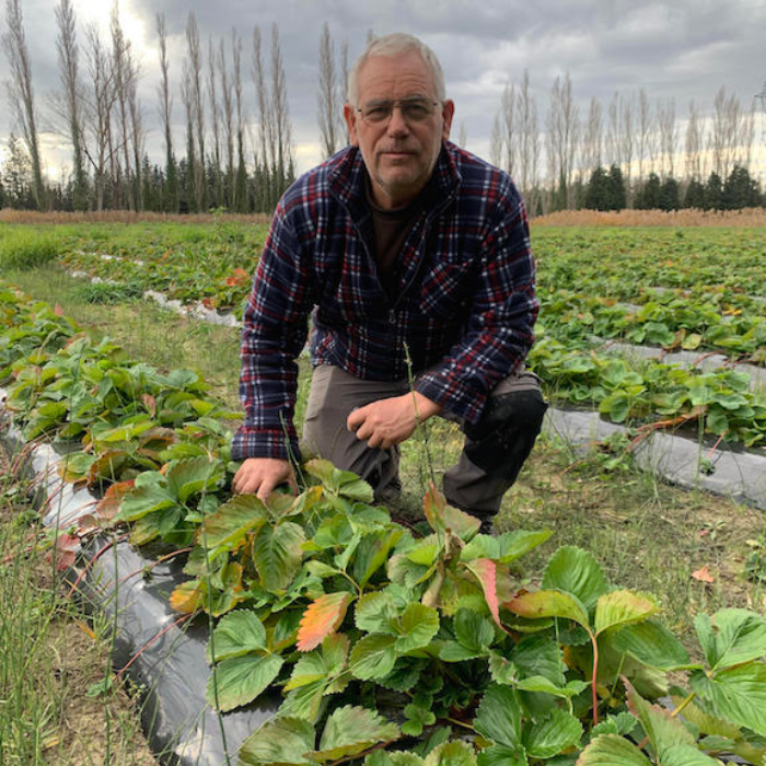 Design sans titre - 2025-11-26T232656.186