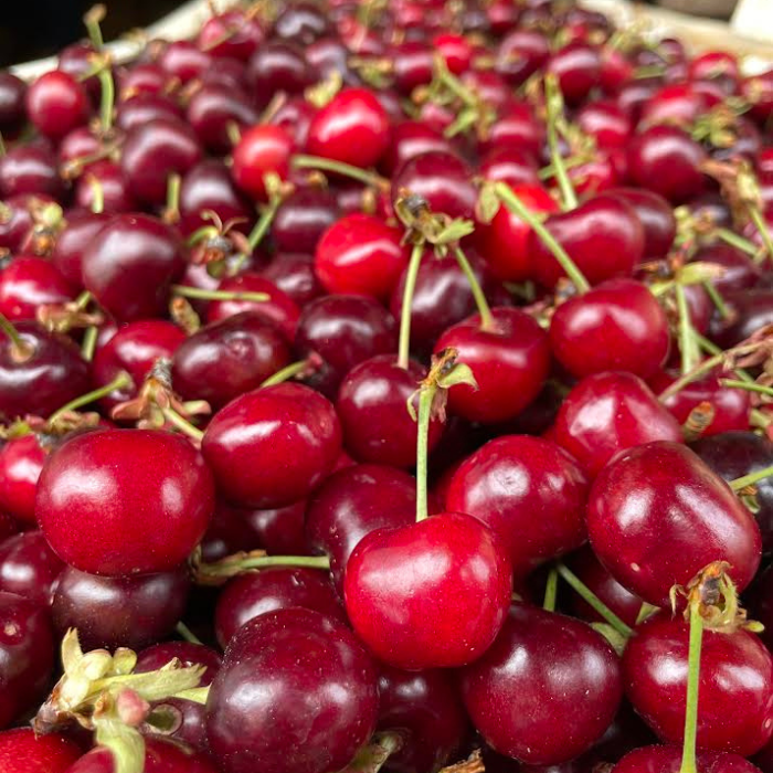 Design sans titre - 2025-11-26T233338.396