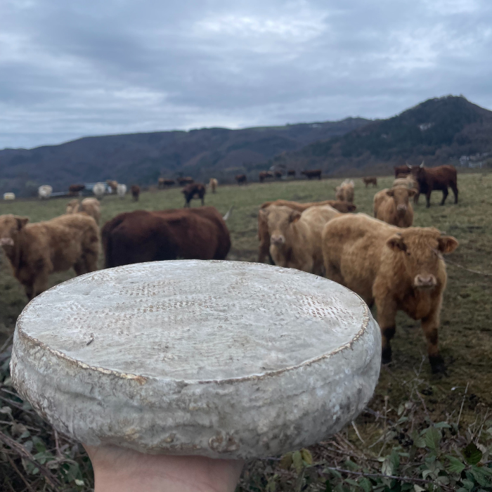 fromage-le-cercle-des-producteurs