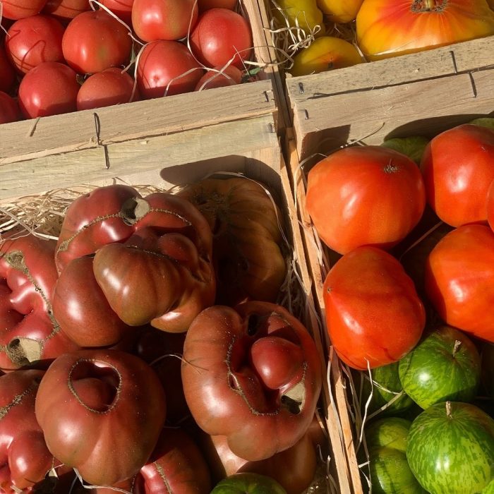 cercle-producteur-13