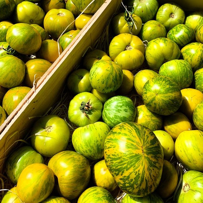 cercle-producteur-40-vincent