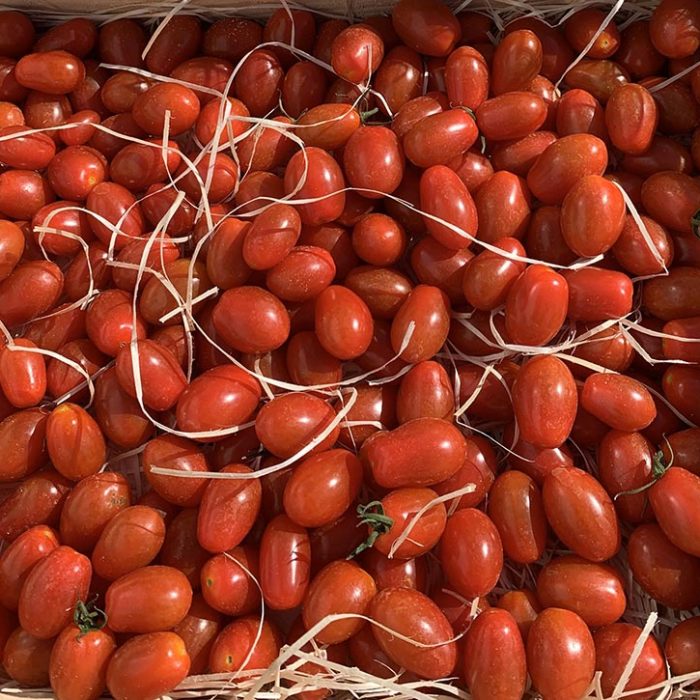 cercle-producteur-41-vincent